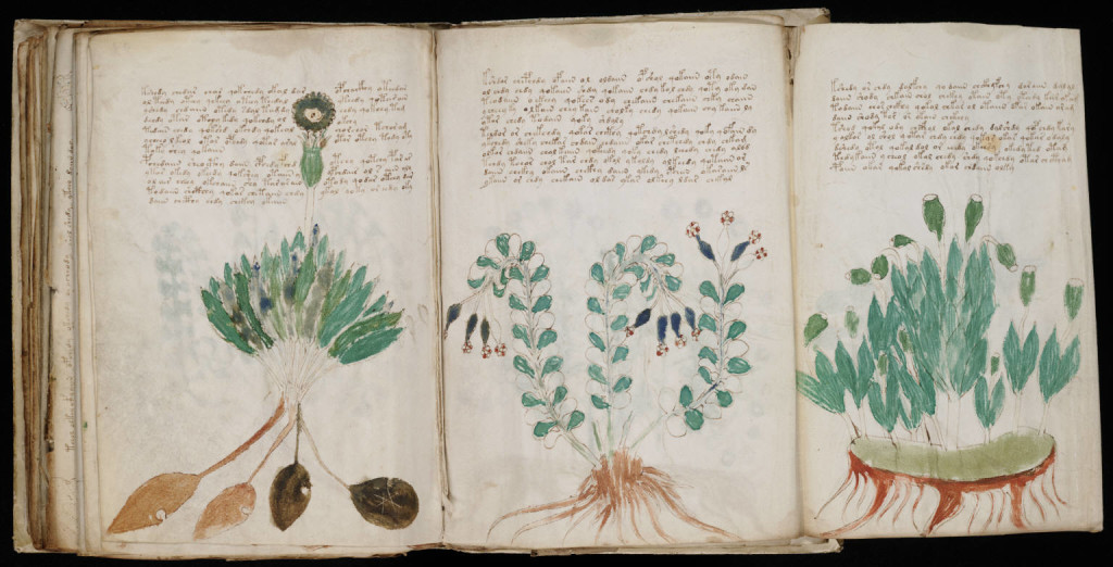 Voynich_Manuscript